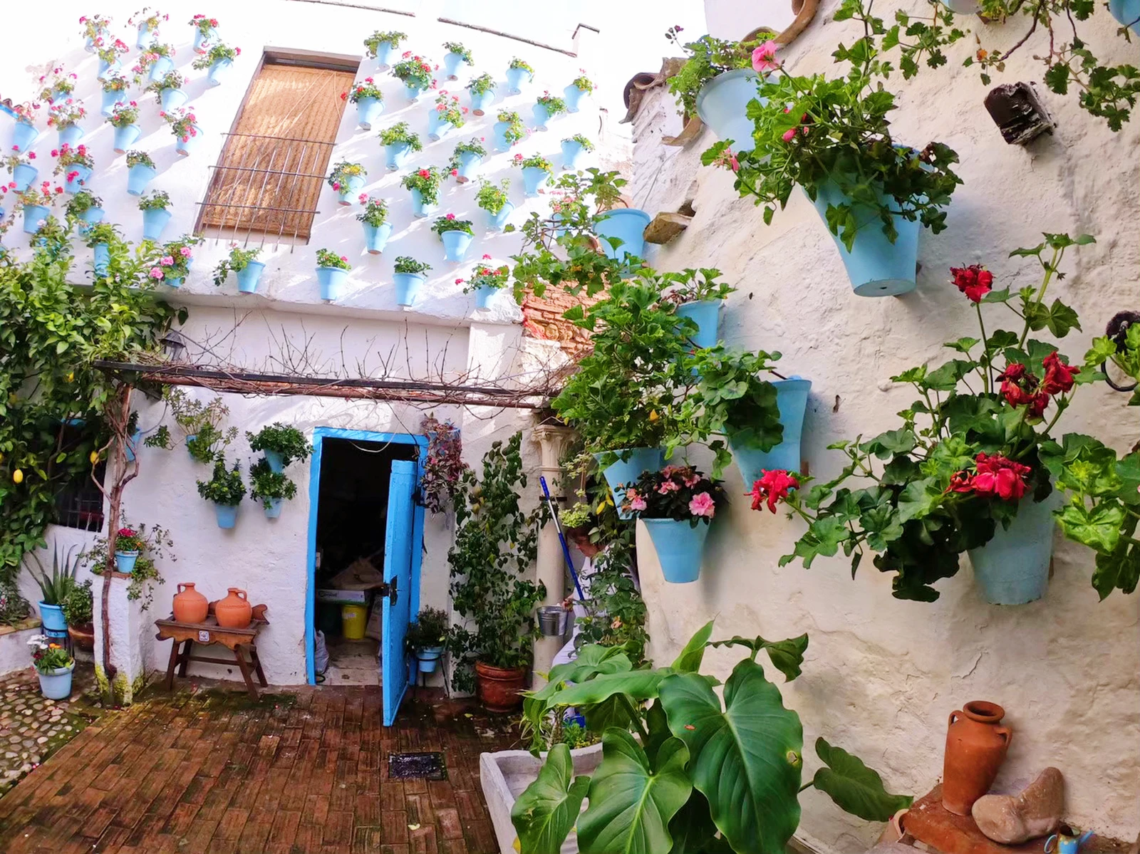 スペインの花の都 コルドバ 街並み編 Kasumi713が投稿したフォトブック Lemon8