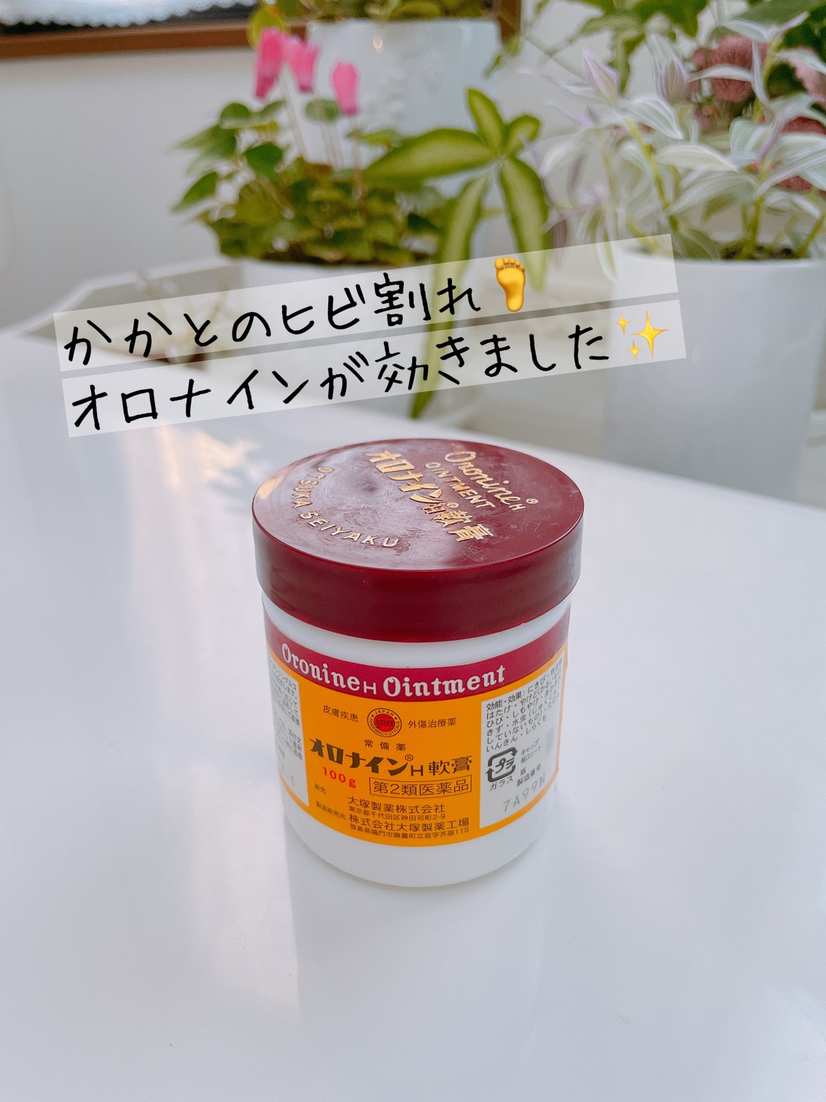 Lemon8 Story オロナインパック