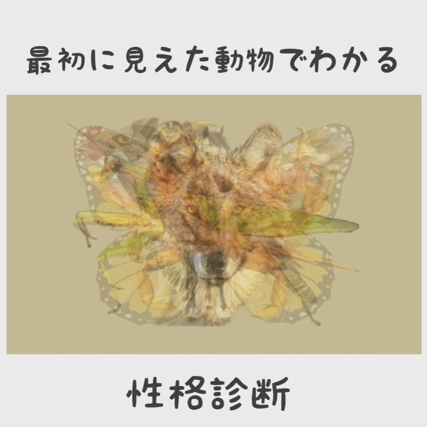 心理テスト 最初に見えた動物でわかる性格診断 モモペンが投稿したフォトブック Lemon8