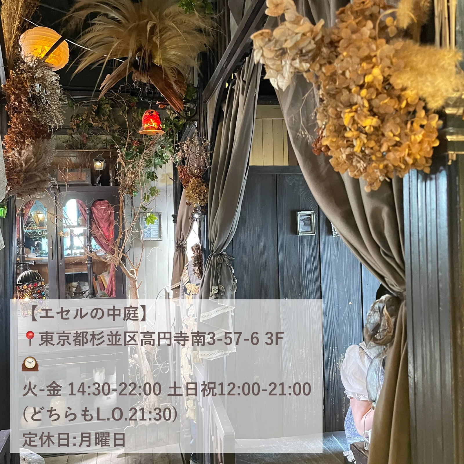 まるで森の中 おしゃれアンティークカフェ 高円寺 ゆき おでかけガールが投稿したフォトブック Lemon8