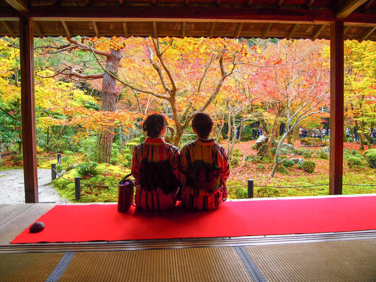 京都 新緑 紅葉 の額縁庭園が素敵 圓光寺 Erika5ankoが投稿したフォトブック Lemon8