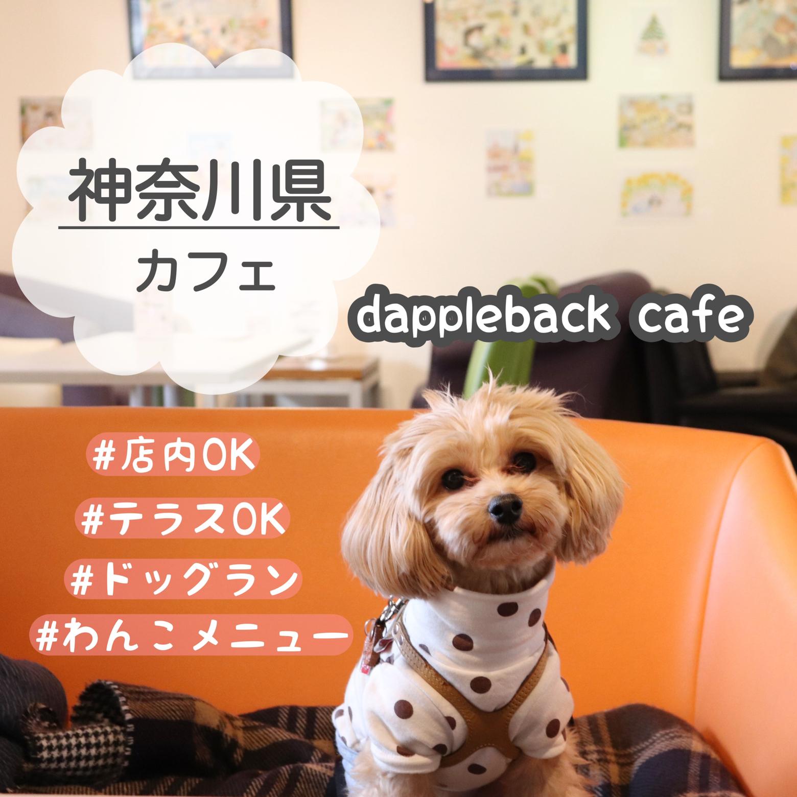 神奈川県 川崎市 可愛いフォトスポットあり 通いたくなるドッグカフェ マルプーまっしゅが投稿したフォトブック Sharee