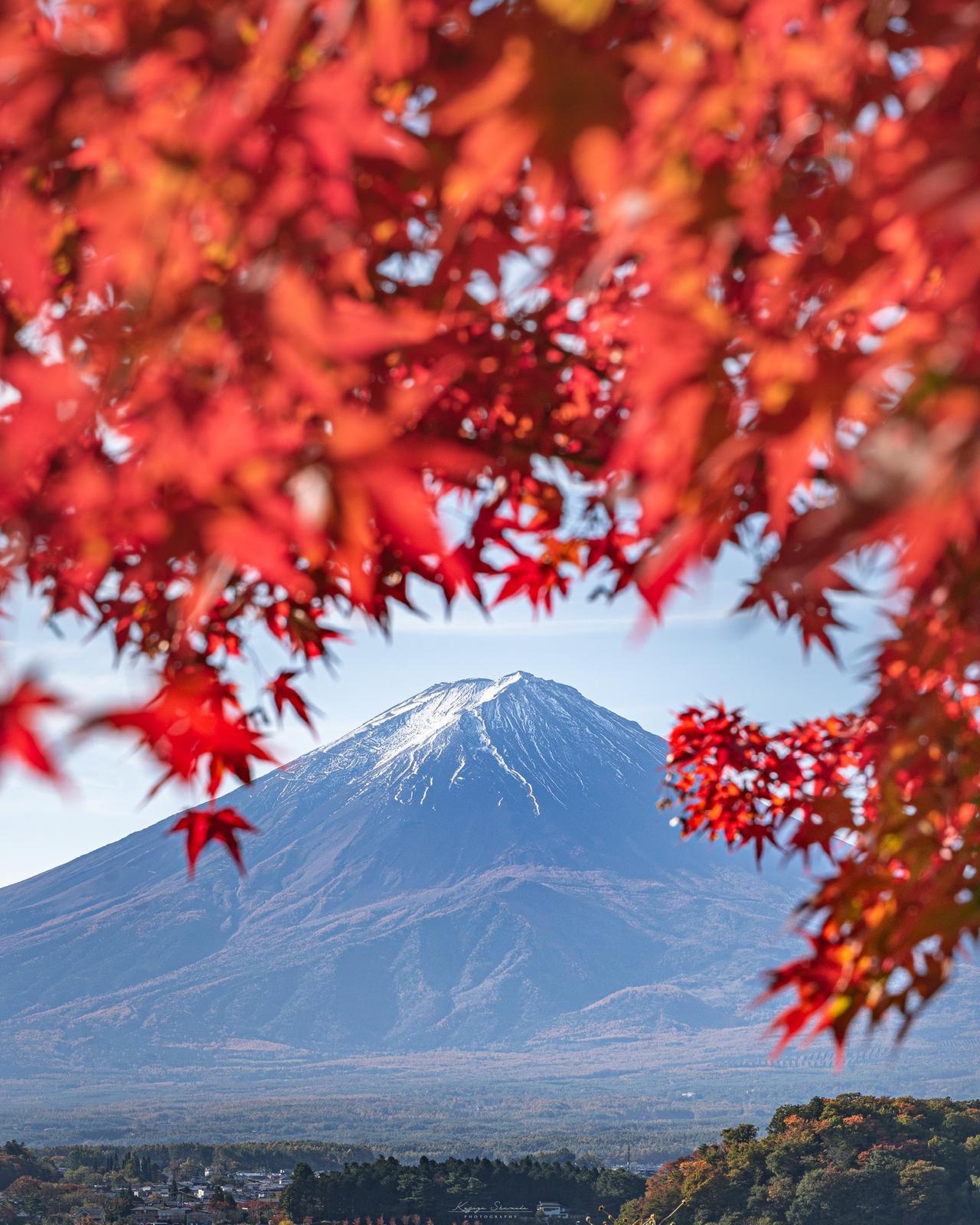 富士山 超オススメ 秋の大石公園が激推しです Kazu Photosが投稿したフォトブック Sharee