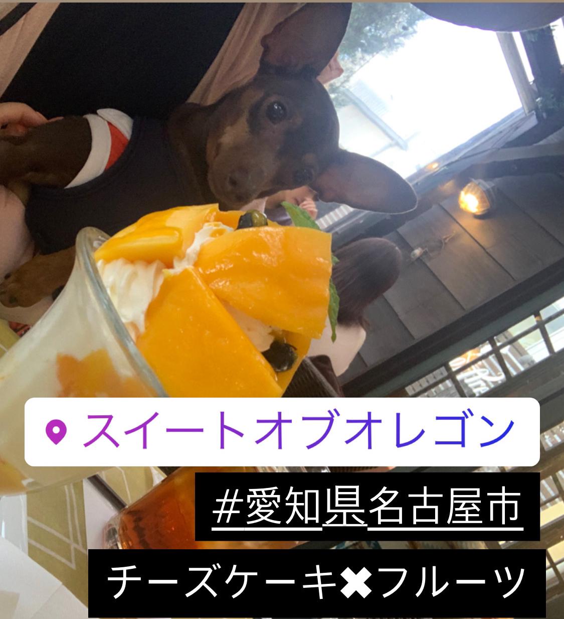 チーズケーキ好きにはたまらない Skip 625が投稿したフォトブック Lemon8