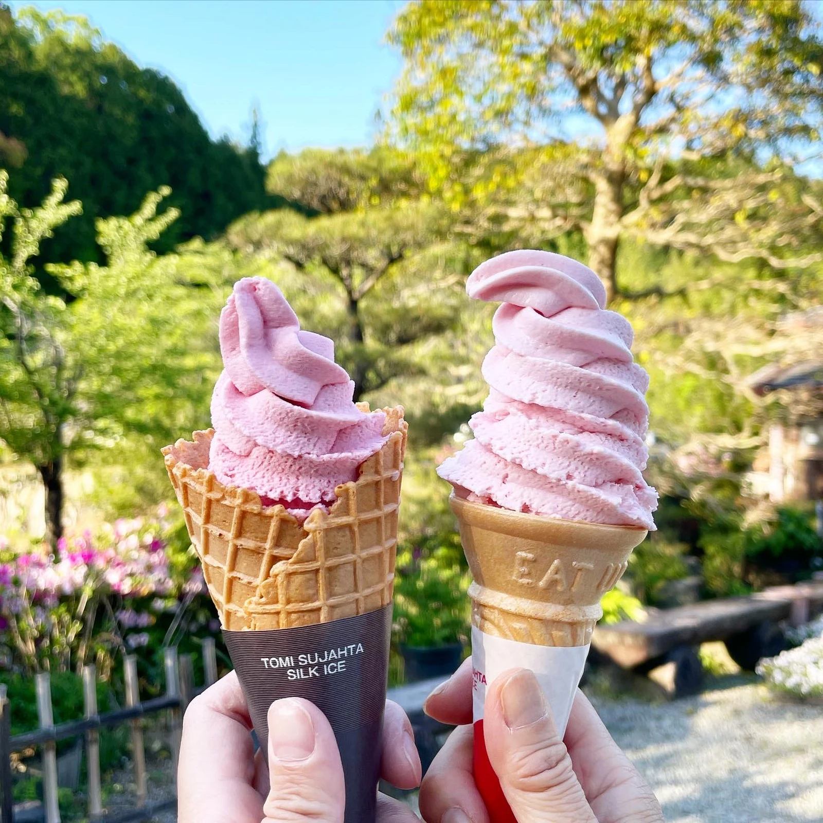 奈良 もうすぐ紫陽花も見頃の植物園のソフトクリーム デパ地下のまおさんが投稿したフォトブック Lemon8