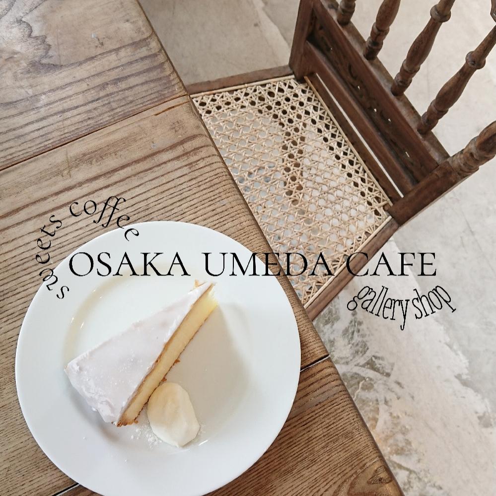 大阪 シンプルオシャレな海外風カフェ Mariさんのお気に入りが投稿したフォトブック Lemon8