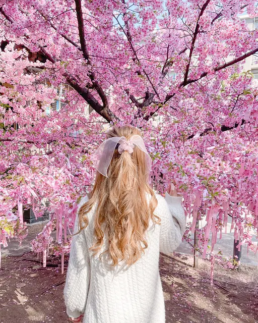 桜キラキラ花びら入りリボン Www Vetrepro Fr