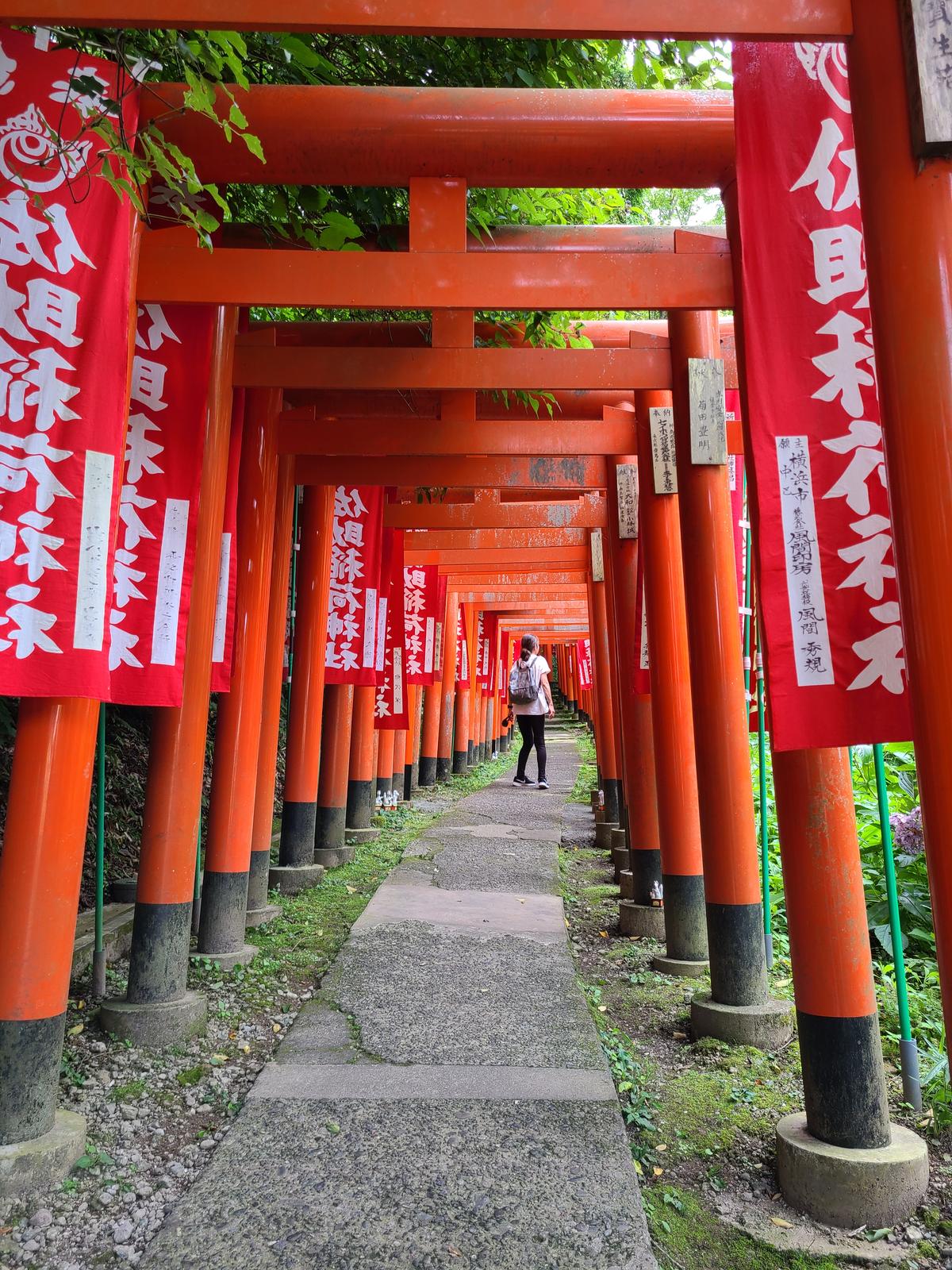 鎌倉の佐助稲荷神社 中澤美和子が投稿したフォトブック Sharee