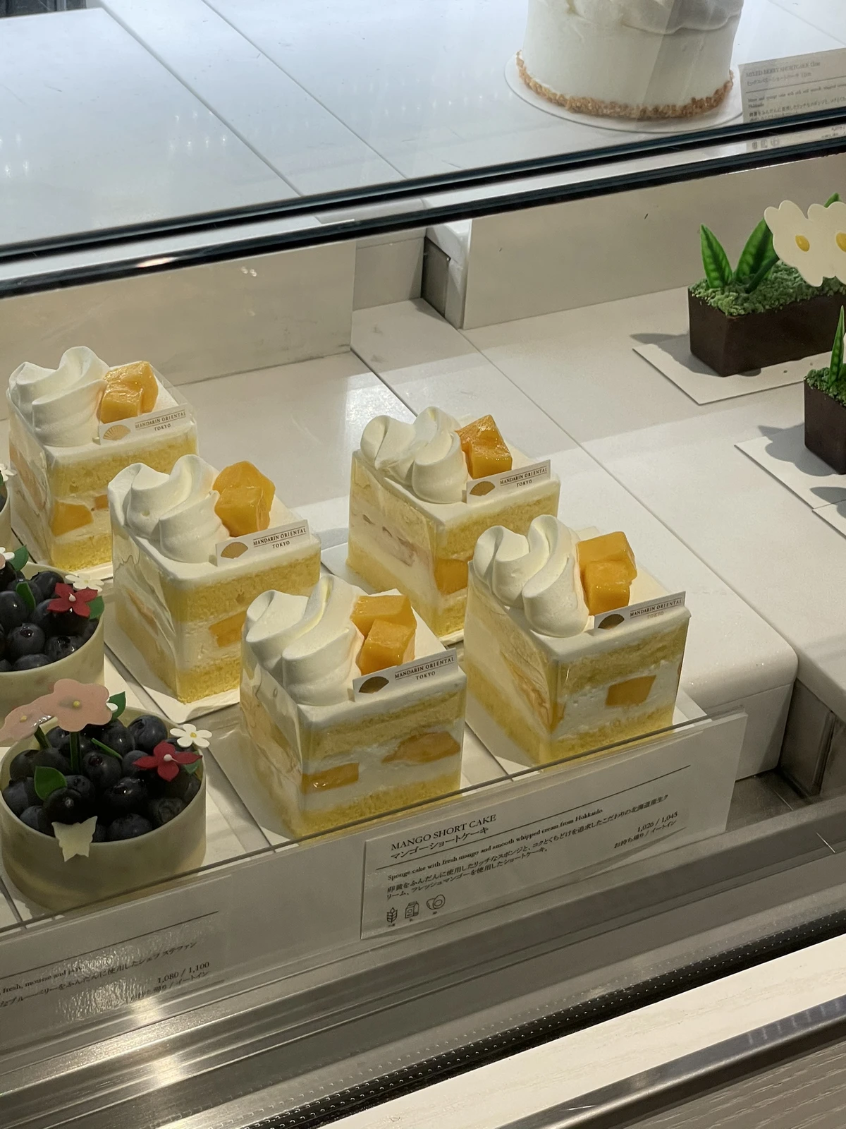 三越前 インスタグラムで毎回バズるお店のスイーツ 東京グルメコレクションが投稿したフォトブック Lemon8