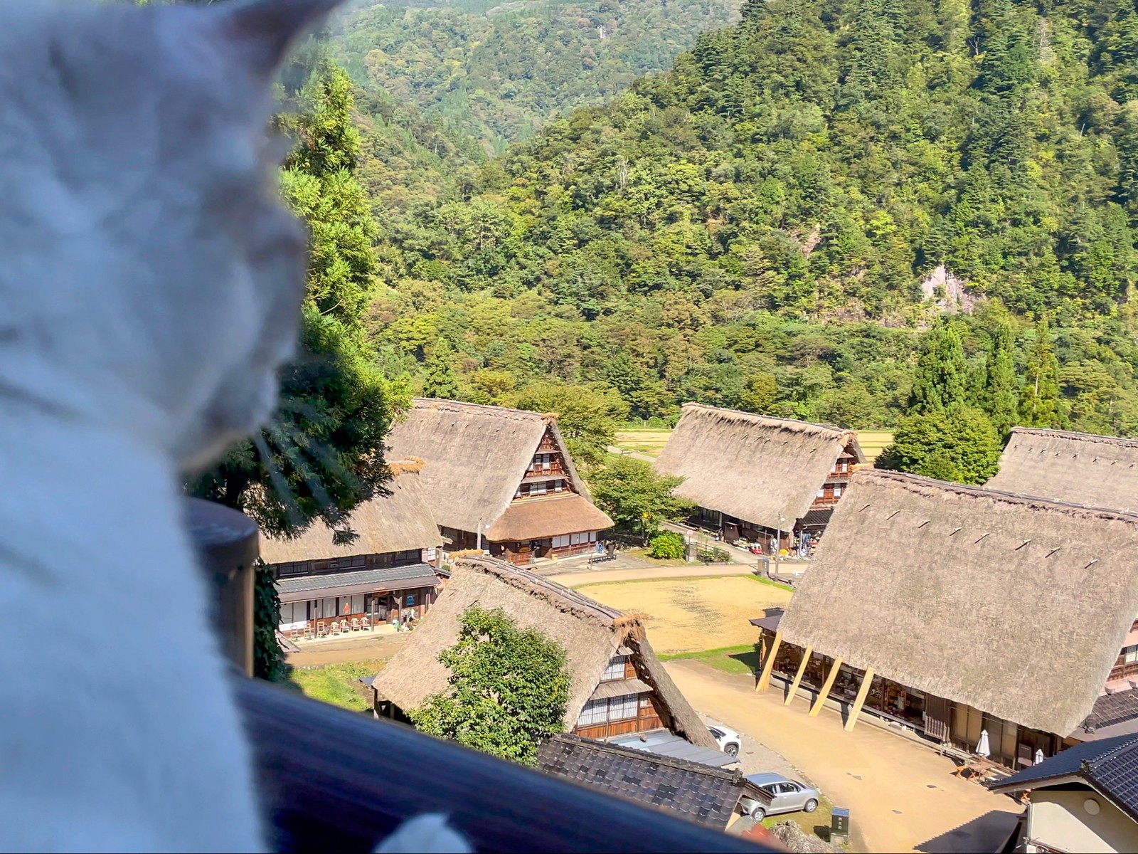 Lemon8 Story 白川郷