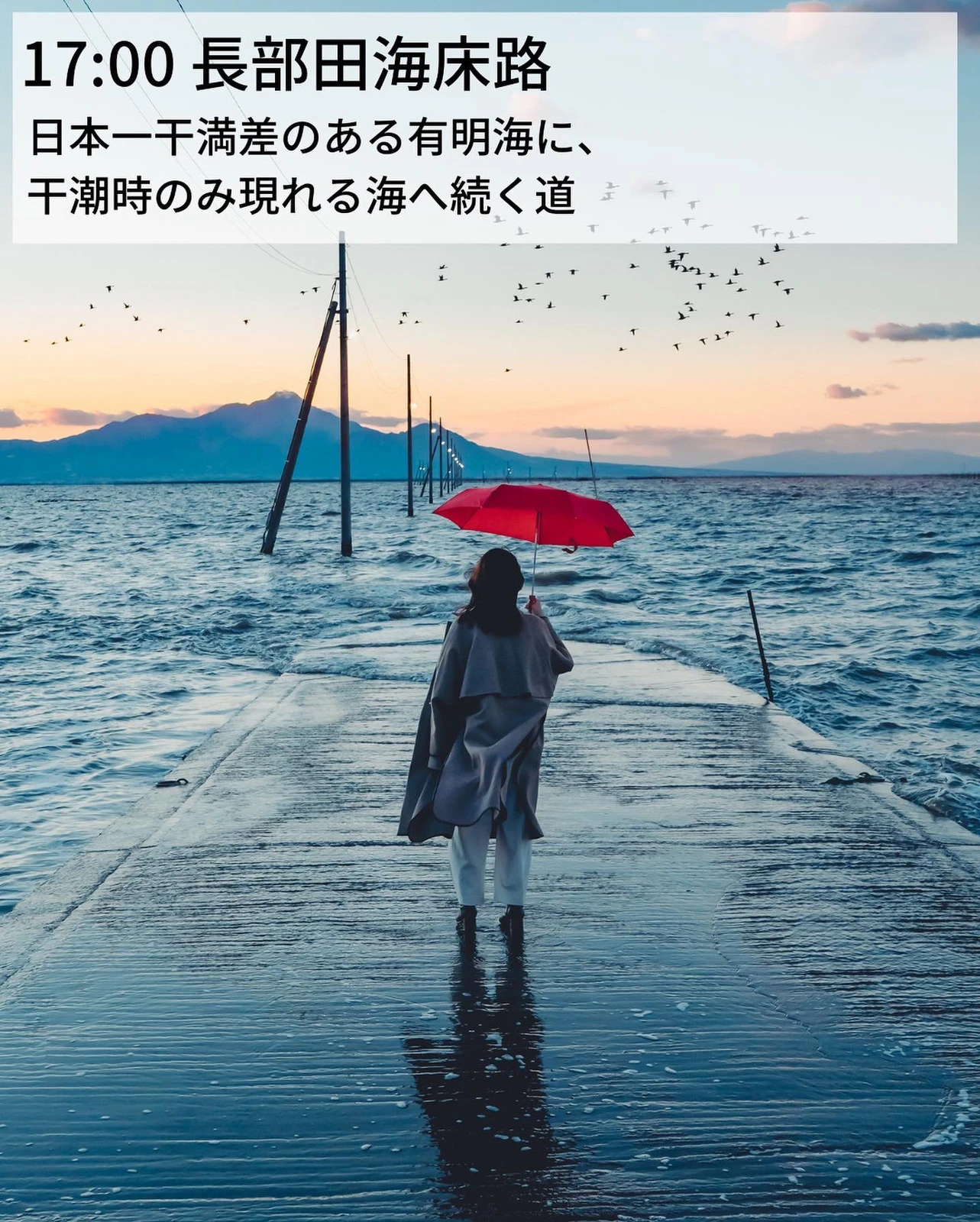 熊本 冬の失敗しない絶景スポット Kouyou Jpが投稿したフォトブック Lemon8