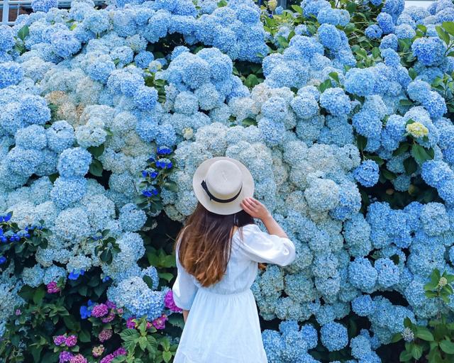 千光寺 福岡 まい12が投稿したフォトブック Sharee