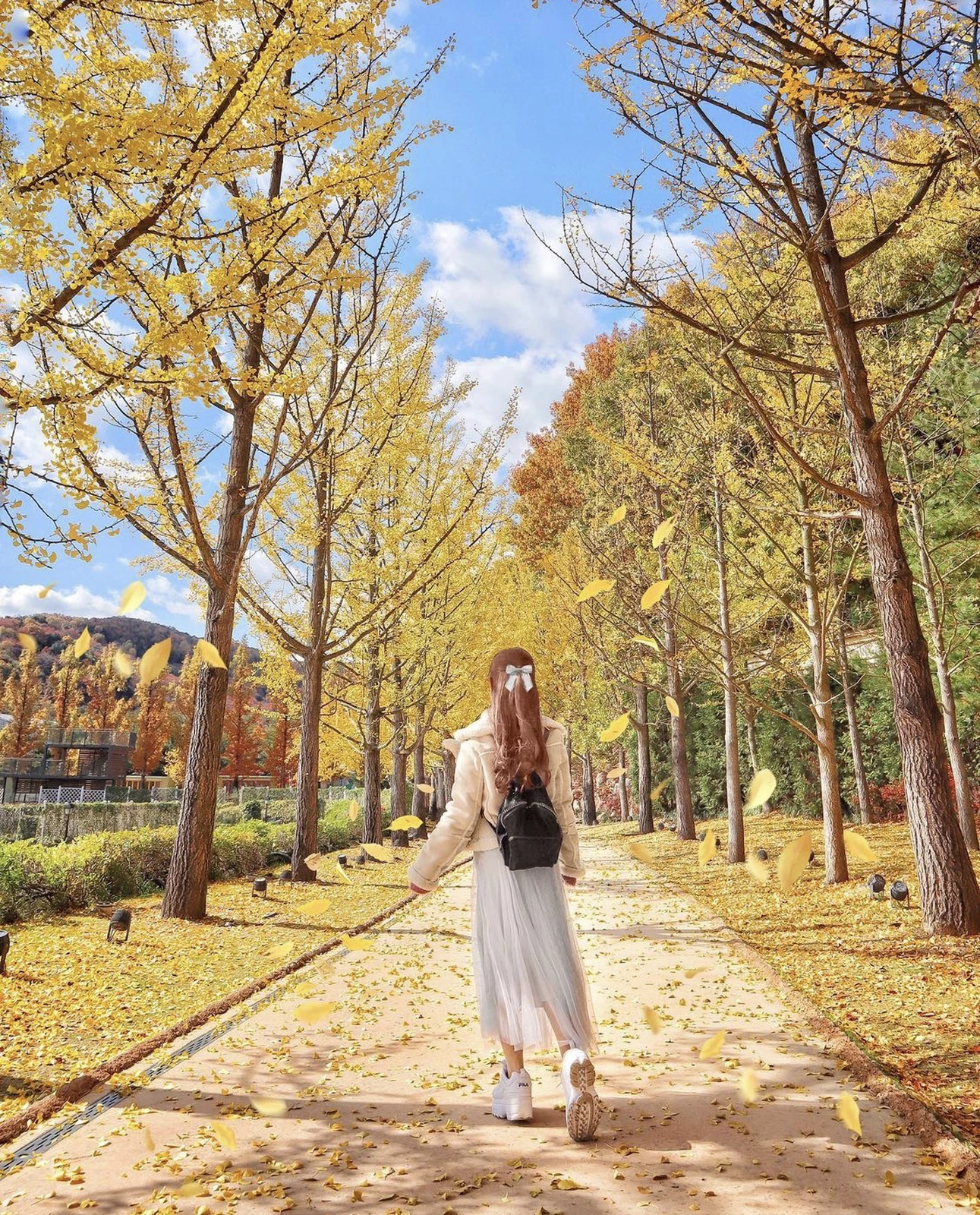 韓国旅行 紅葉シーズンにオススメスポット Sweets Nanoが投稿したフォトブック Lemon8