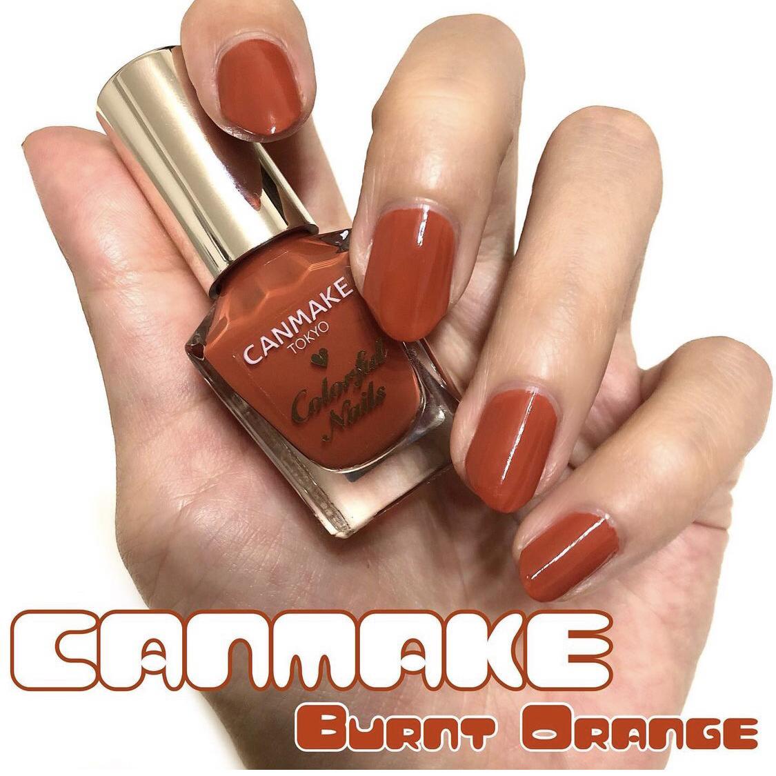 キャンメイクのテラコッタと似てる ネイルホリックのカラーを発見 Natsumが投稿したフォトブック Sharee