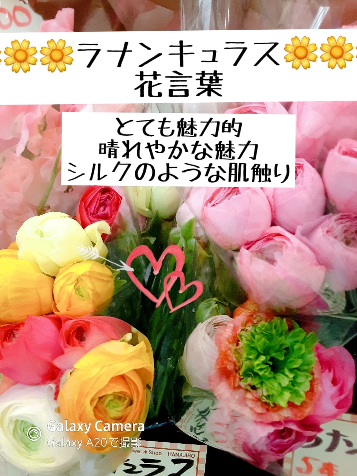 Lemon8 Story Karkinos Khao Lak ร ว ว