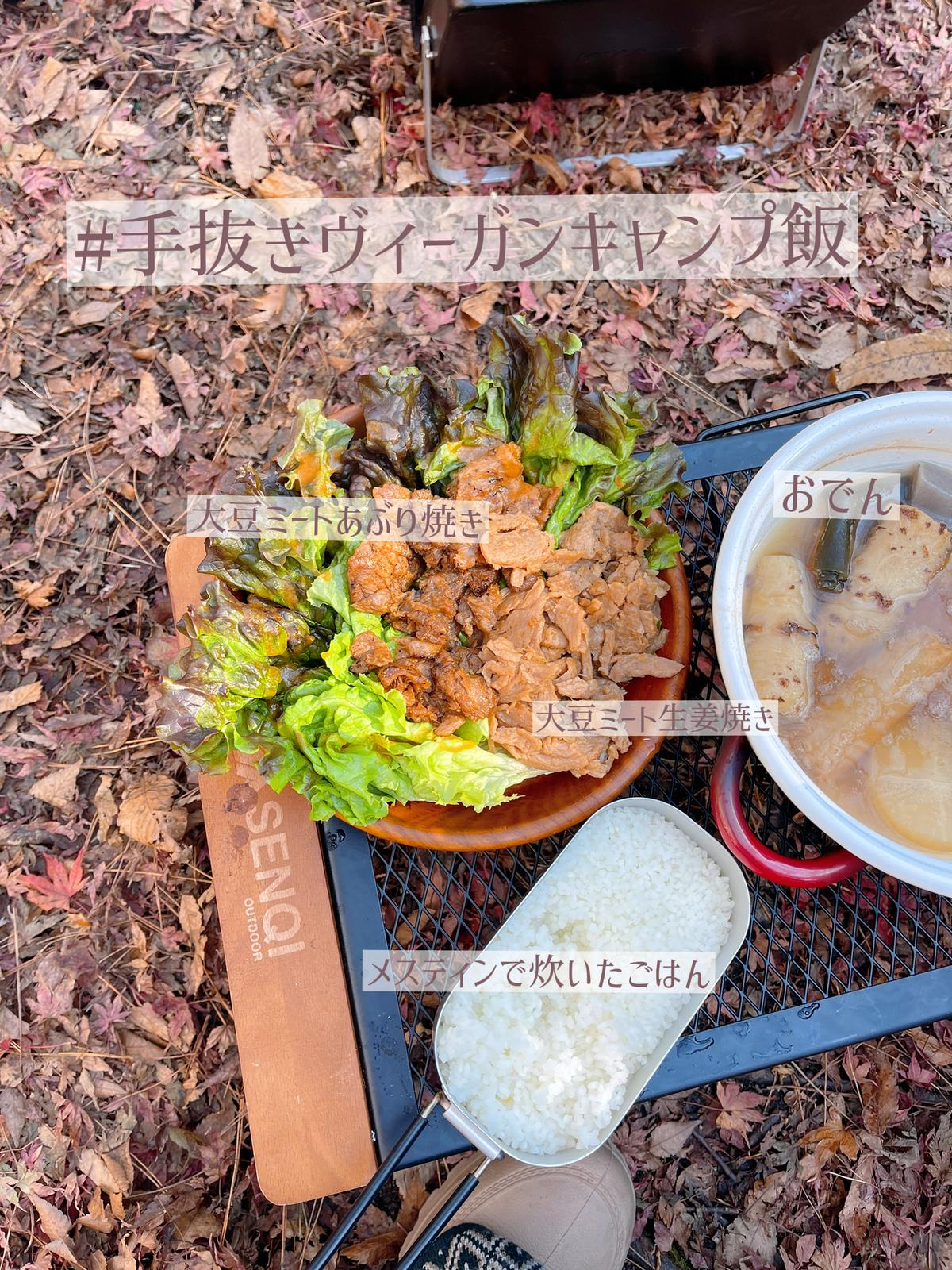 手抜きヴィーガンキャンプ飯 チアコマが投稿したフォトブック Lemon8