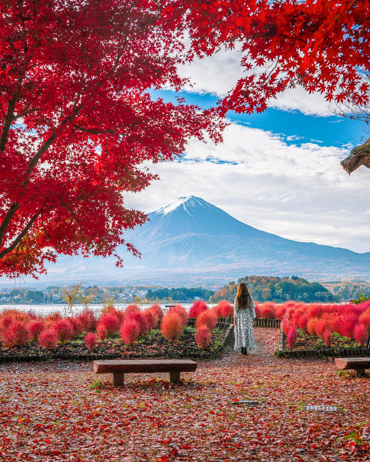 山梨県 コキアと富士山のコラボが生み出す絶景 Kyoko1903が投稿したフォトブック Lemon8