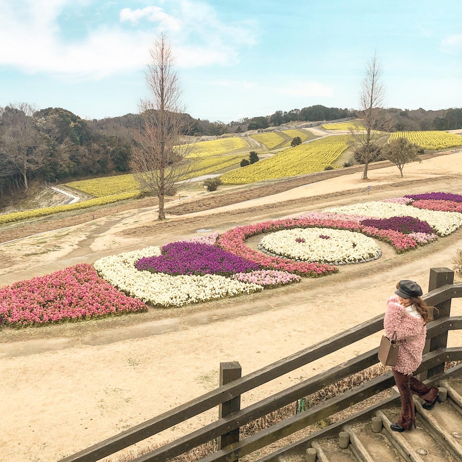兵庫 淡路島 季節毎に楽しめるお花畑 Aigram 57が投稿したフォトブック Sharee