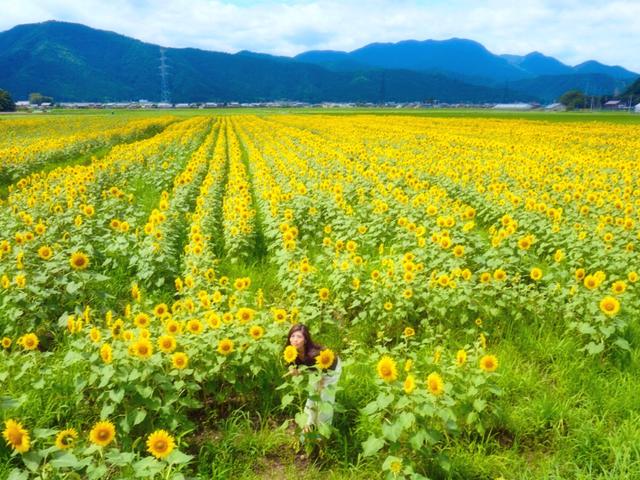 福井県に関する最新投稿と人気の投稿 Lemon8