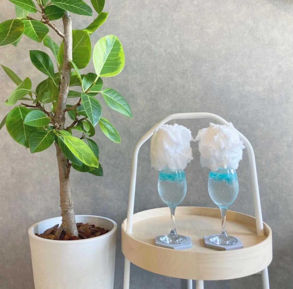 ペットとおしゃれカフェ 三重県四日市市 東海ペット わんことお出かけが投稿したフォトブック Lemon8