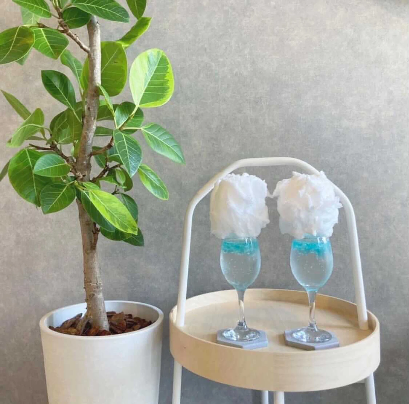 ペットとおしゃれカフェ 三重県四日市市 東海ペット わんことお出かけが投稿したフォトブック Lemon8