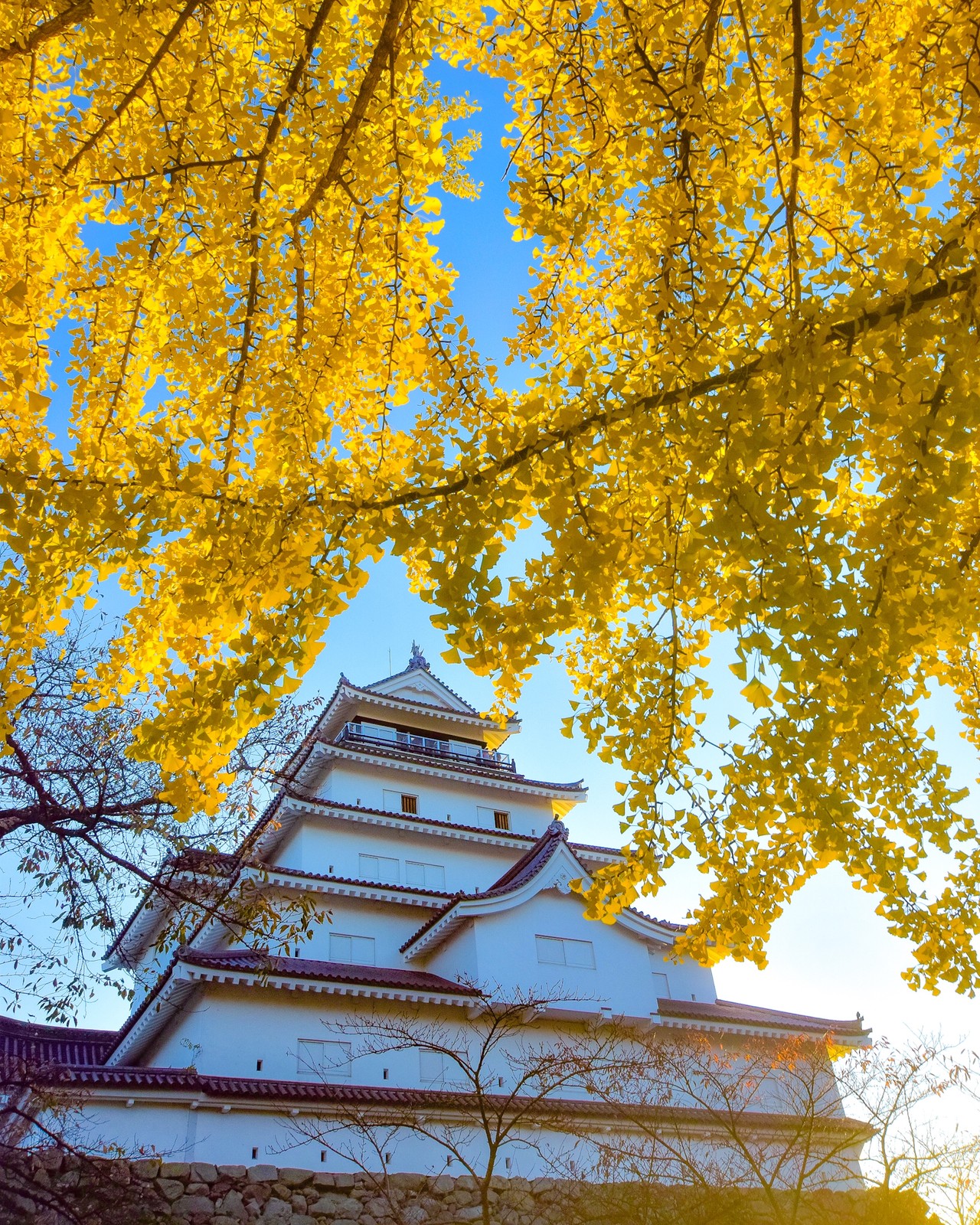 Lemon8 Story 会津若松 Lemon8 Story 会津若松