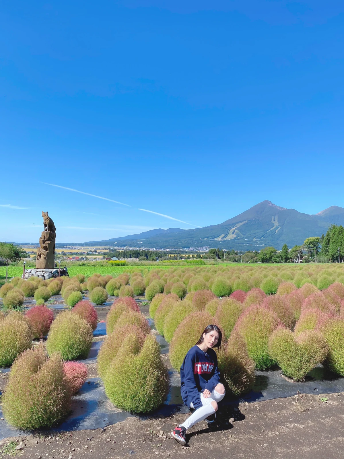 37 ホテルリステル猪苗代のコキア畑 福島 Marina K Arakiが投稿したフォトブック Lemon8