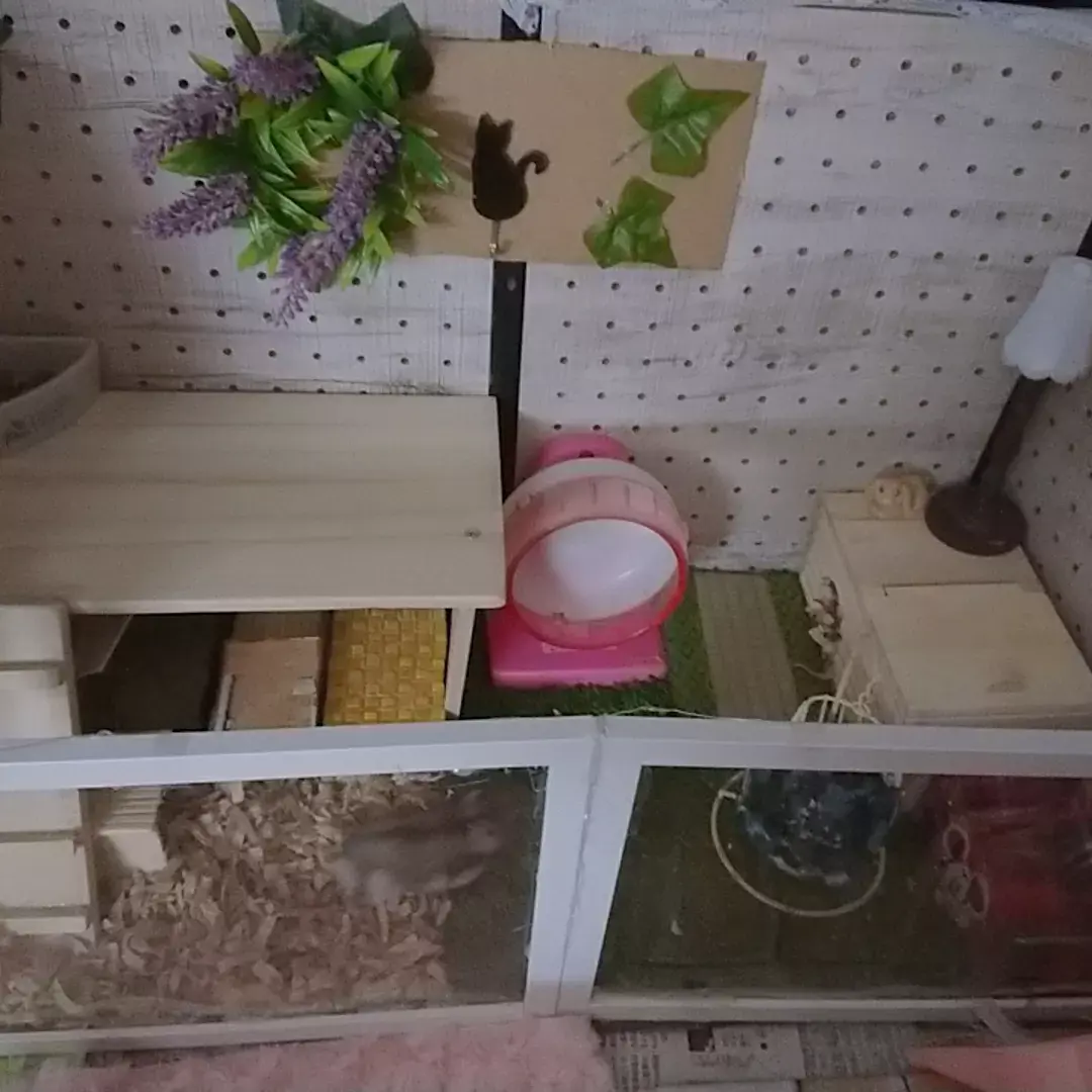 Lemon8 Story ハムスターロフト 手作り