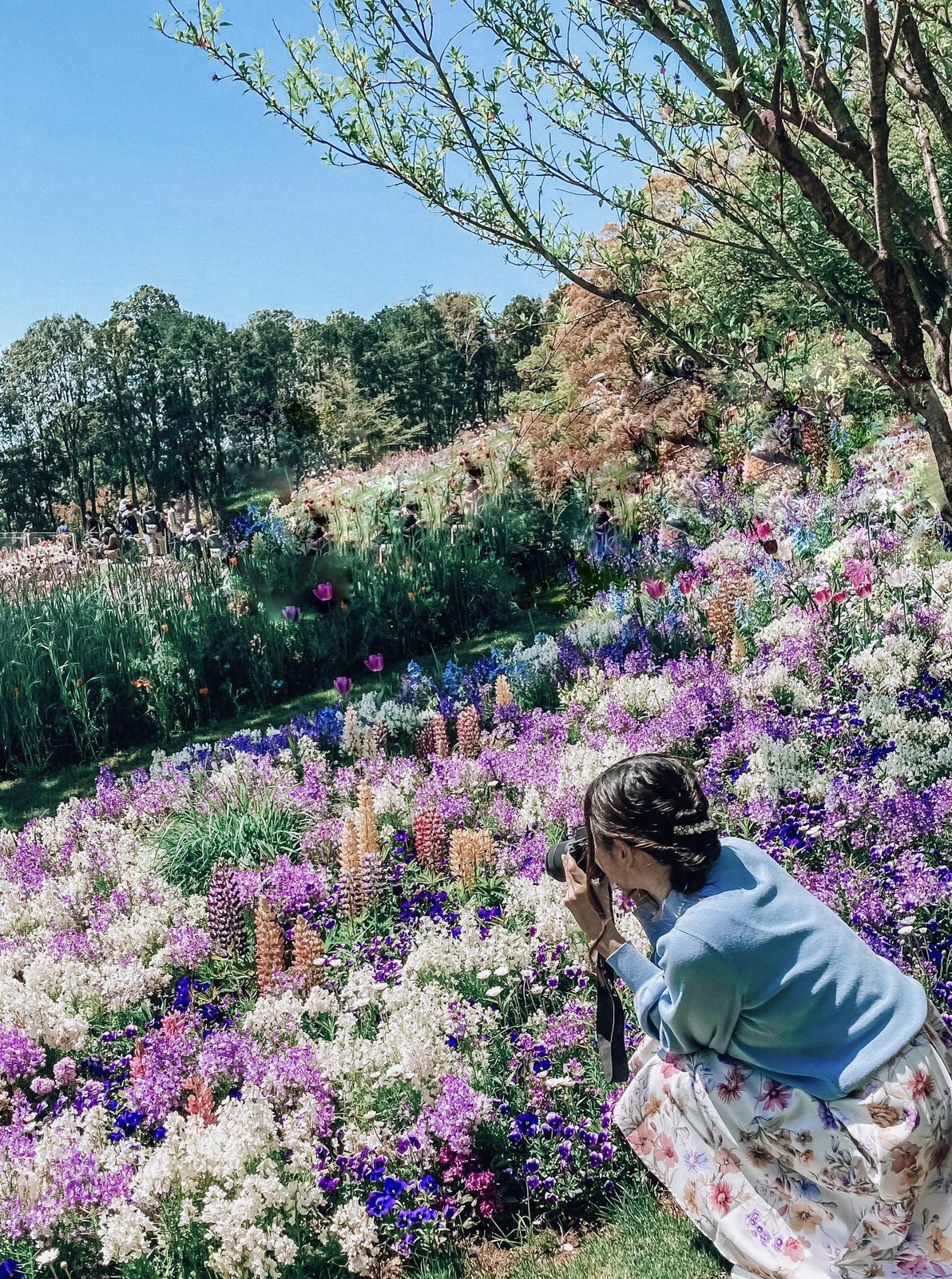 まるでイギリス庭園 横浜の注目スポット 里山ガーデン Rina Delreyが投稿したフォトブック Sharee