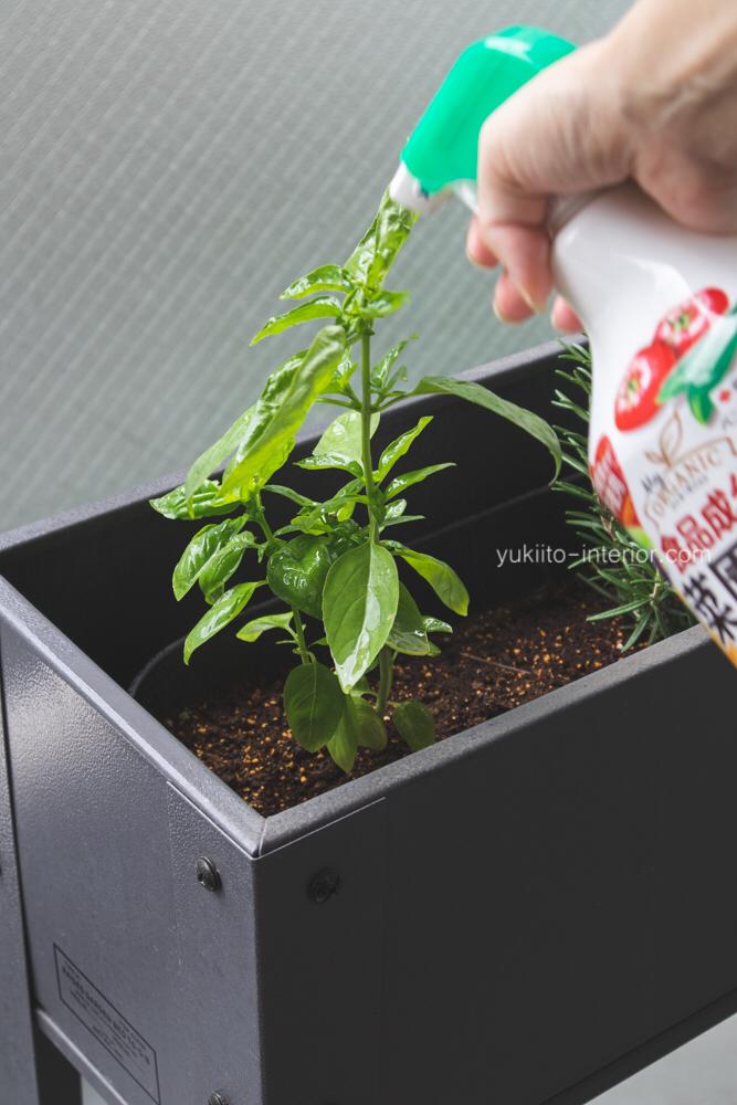 ベランダハーブ菜園と害虫対策 Yukey Mが投稿したフォトブック Sharee