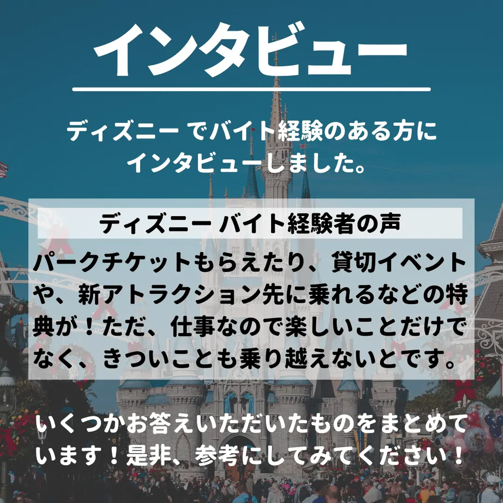 夢の国 ディズニーバイトの理想と現実 あい バイトに命を掛けてます が投稿したフォトブック Lemon8 夢の国 ディズニーバイトの理想と現実 あい バイトに命を掛けてます が投稿したフォトブック Lemon8