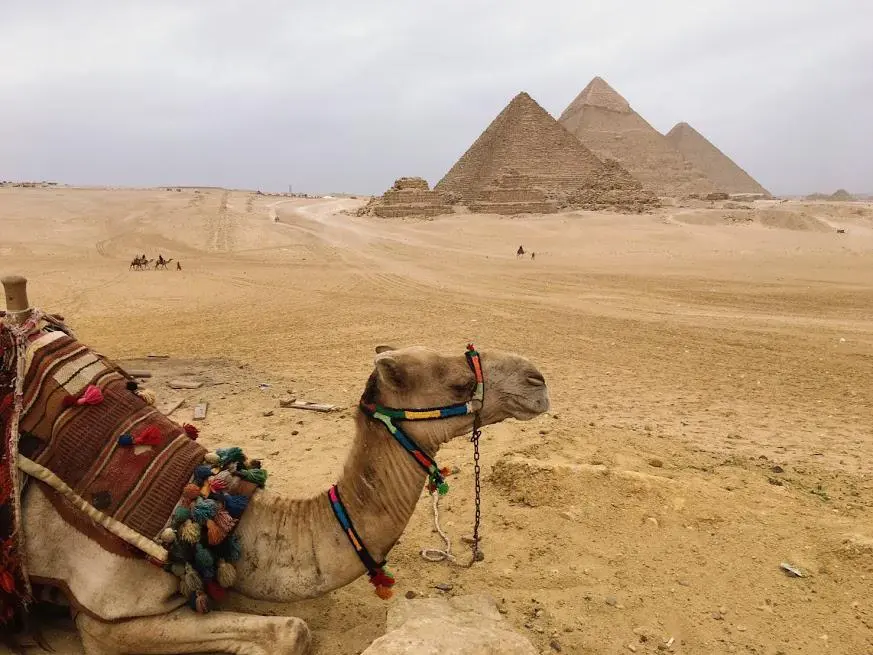 エジプト（カイロ・ルクソール）で絶対に行くべき8つのスポットの画像