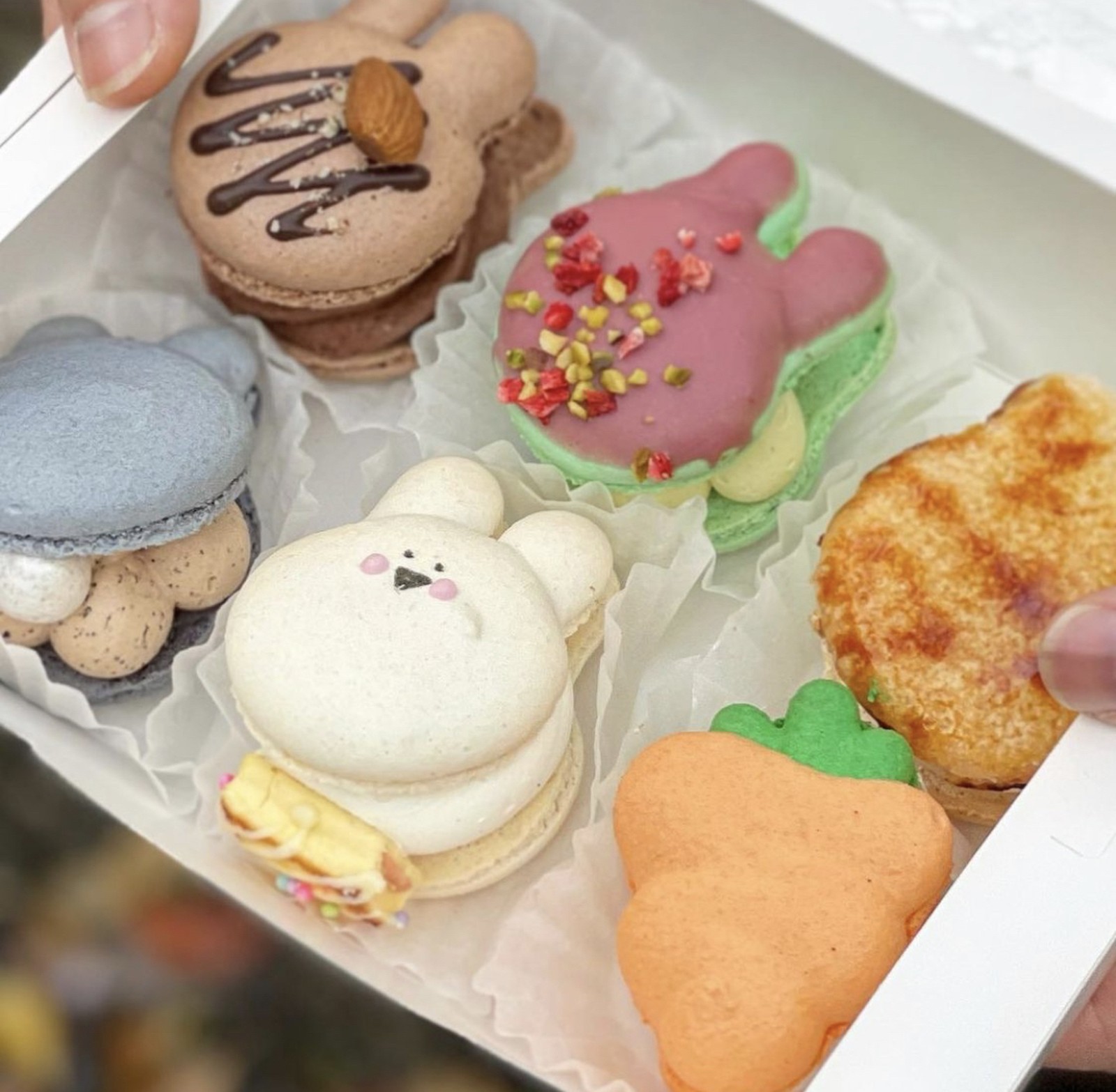 Lemon8 Story 新大久保 マカロン Bt21