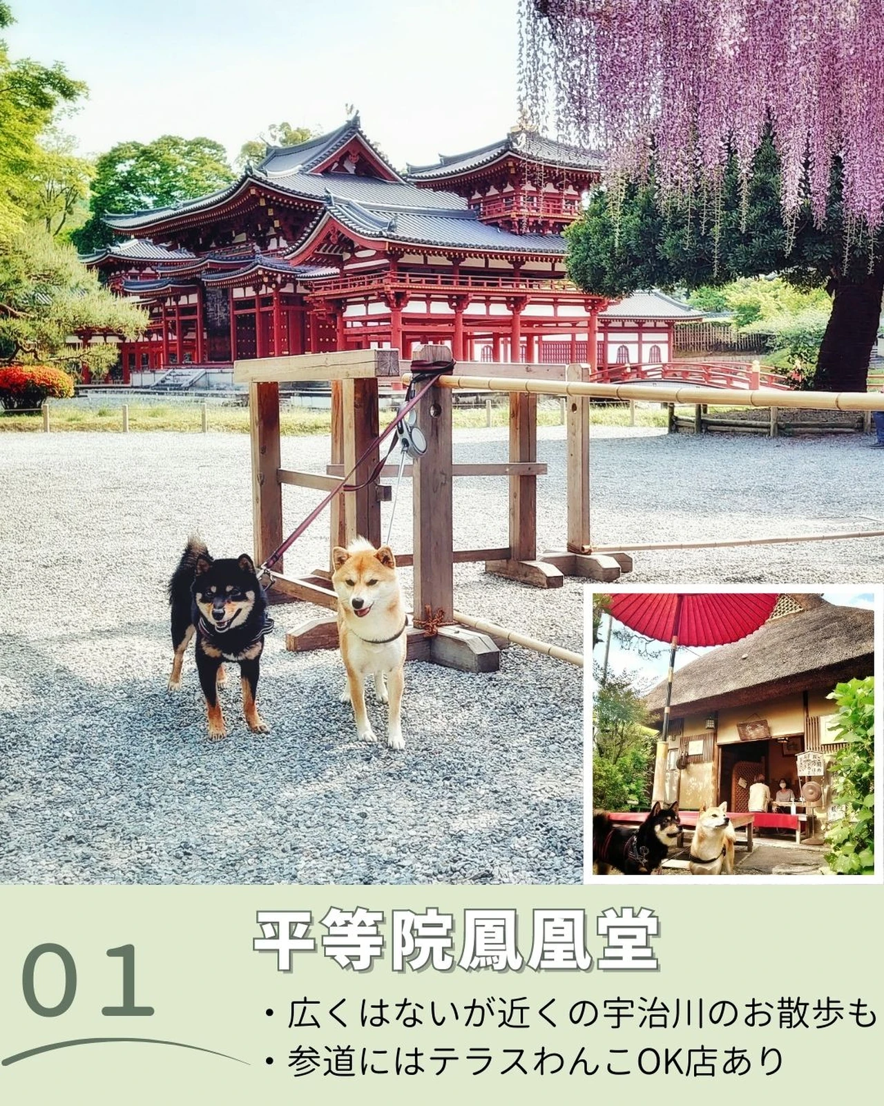 犬連れ京都観光まとめ うた 京都おでかけ犬が投稿したフォトブック Lemon8