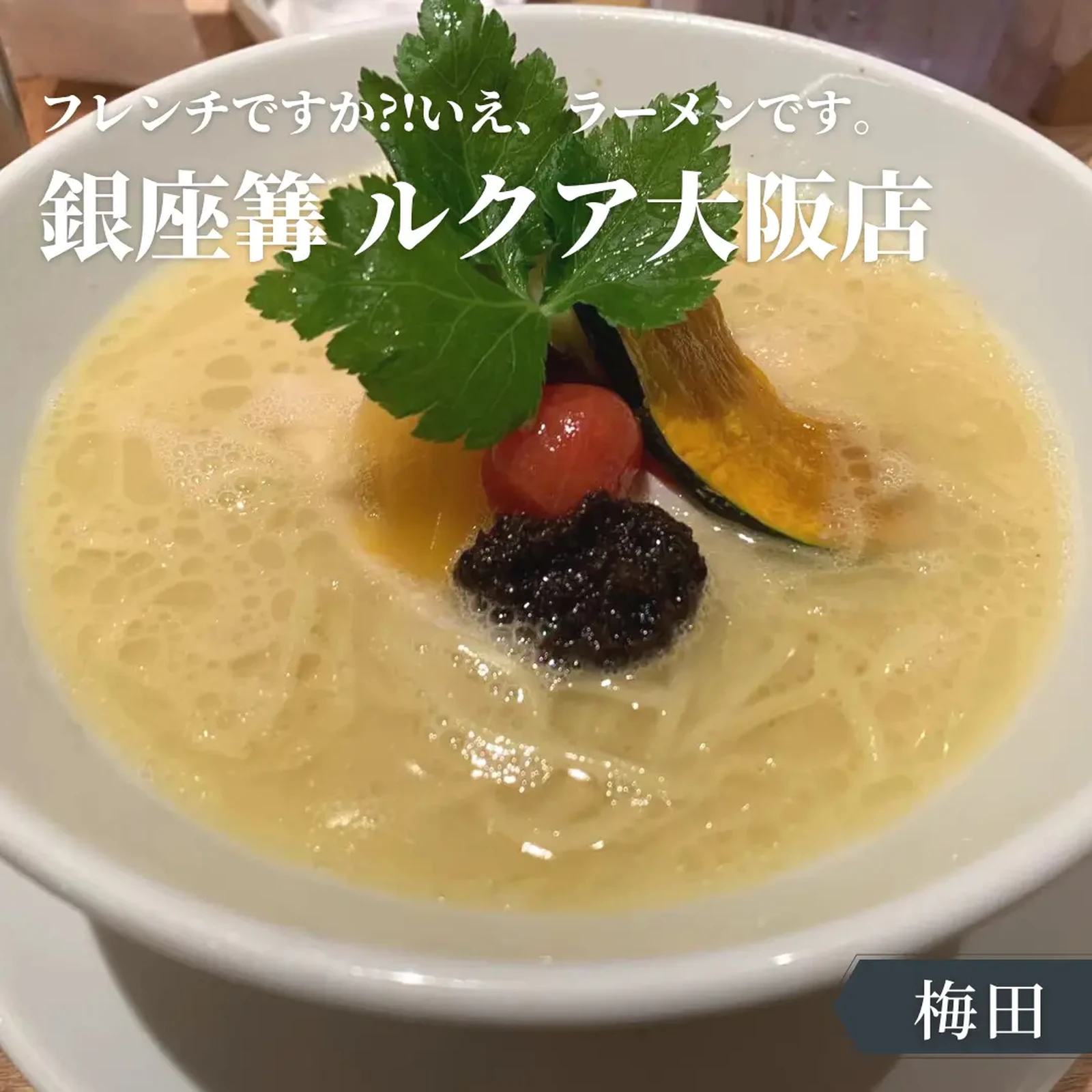 大阪 梅田 鶏白湯 まるでフレンチ 銀座箒 ほないこ関西 近距離おでかけが投稿したフォトブック Lemon8