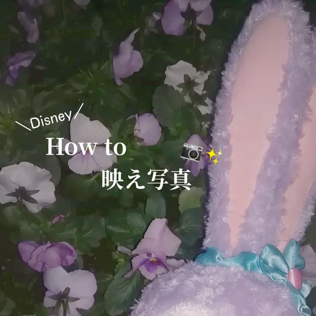 ディズニー 写真 撮り方 Iphone Lemon8