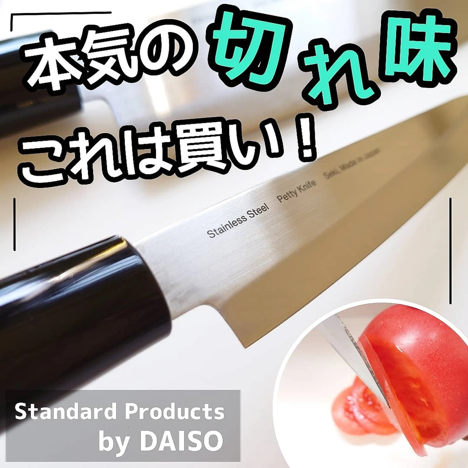 堺孝行 筋引 9寸 270mm イノックス洋包丁 モリブデン特殊鋼 POM樹脂 食器洗浄機対応可 洋包丁 日本製 現品