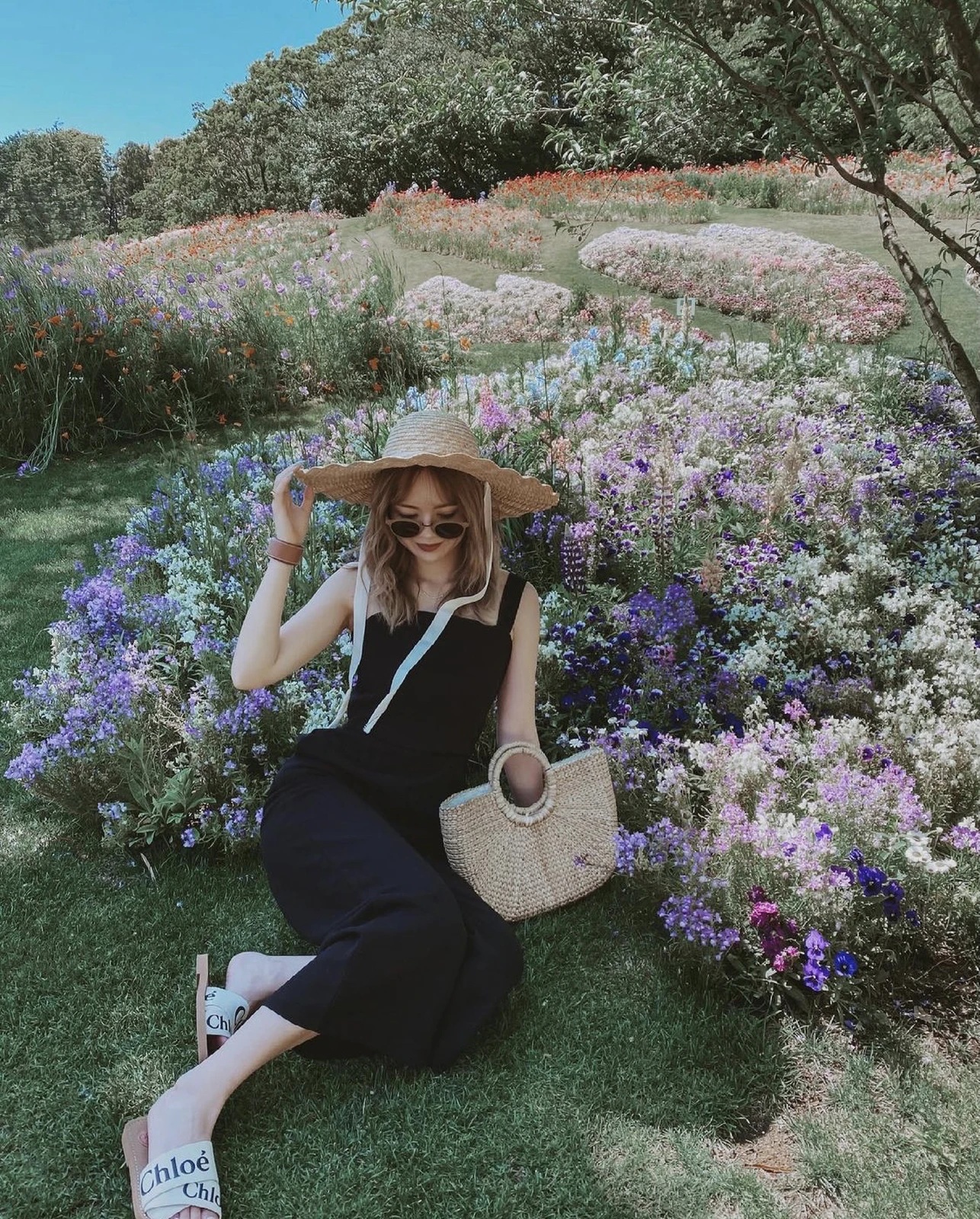 横浜 色んな色が混ざってて可愛いお花畑 里山ガーデン Onumaaanが投稿したフォトブック Lemon8