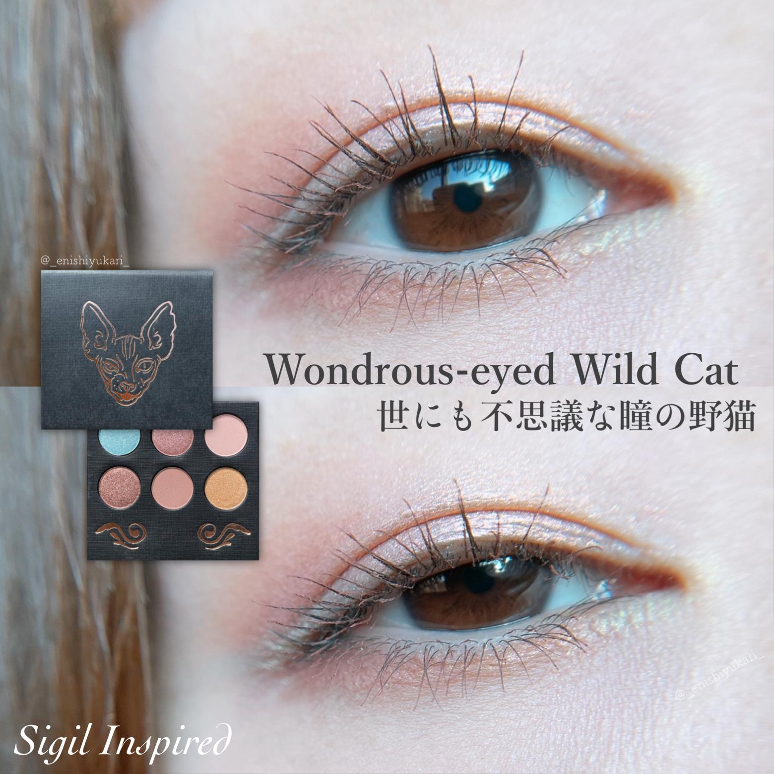 ロシアのやばい粉パレットで夏の涼メイク 社畜系女子が投稿したフォトブック Lemon8