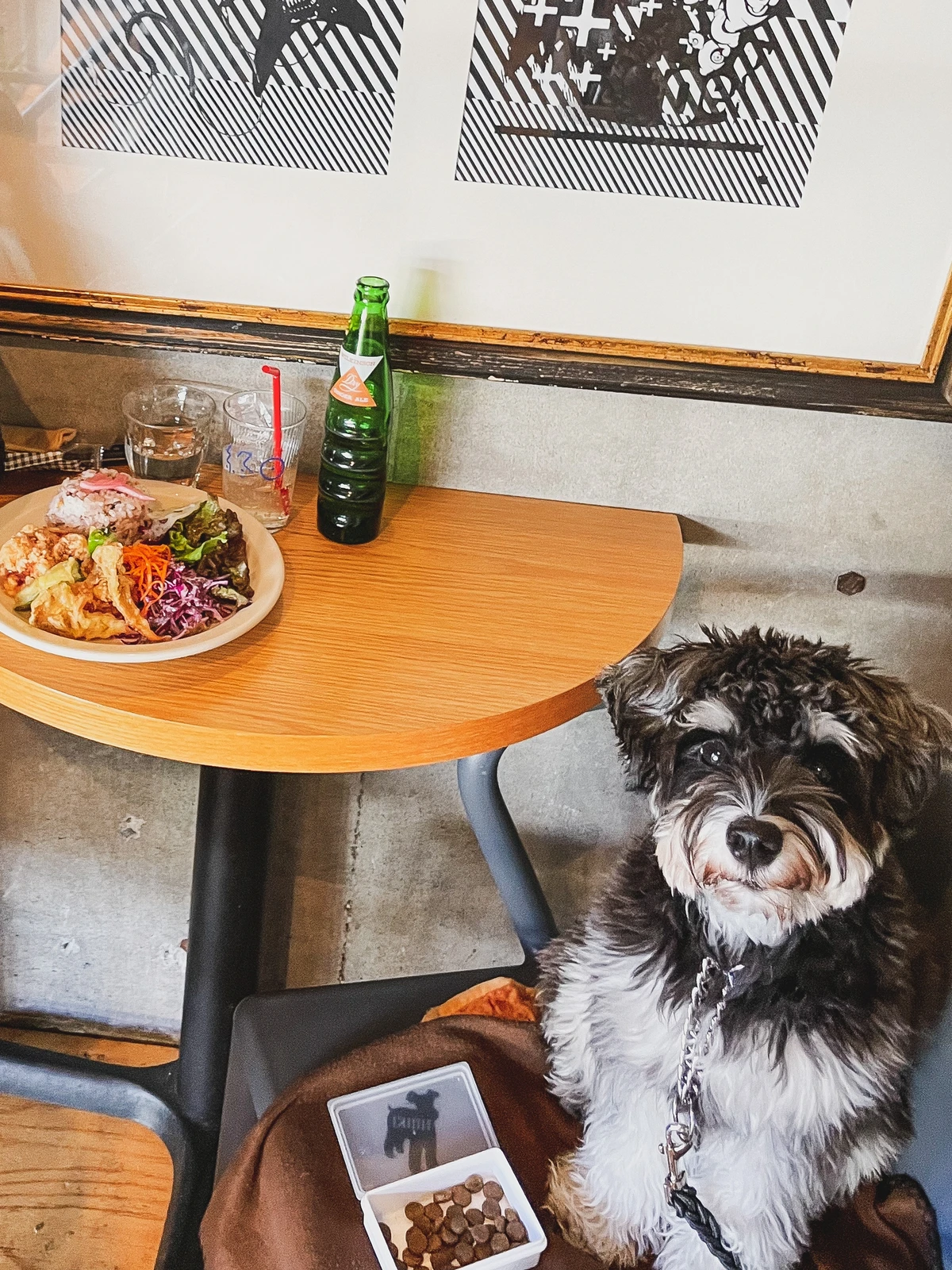 代々木上原のオシャレすぎるお花屋さんカフェ Yumi Onedayが投稿したフォトブック Lemon8 代々木上原のオシャレすぎるお花屋さんカフェ Yumi Onedayが投稿したフォトブック Lemon8