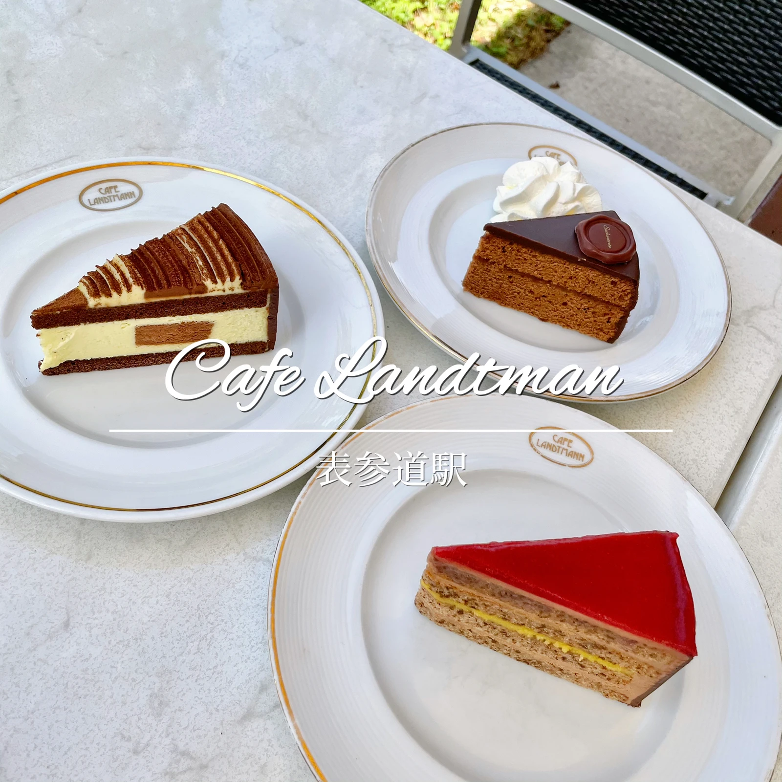 表参道駅 ザッハトルテを優雅なテラス席で食べられるお店知ってる Yopi Cafeが投稿したフォトブック Lemon8