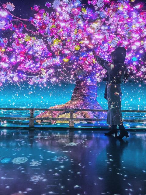 東京 幻想的なデジタルアート空間でお花見 Mako 絶景トラベラーが投稿したフォトブック Lemon8