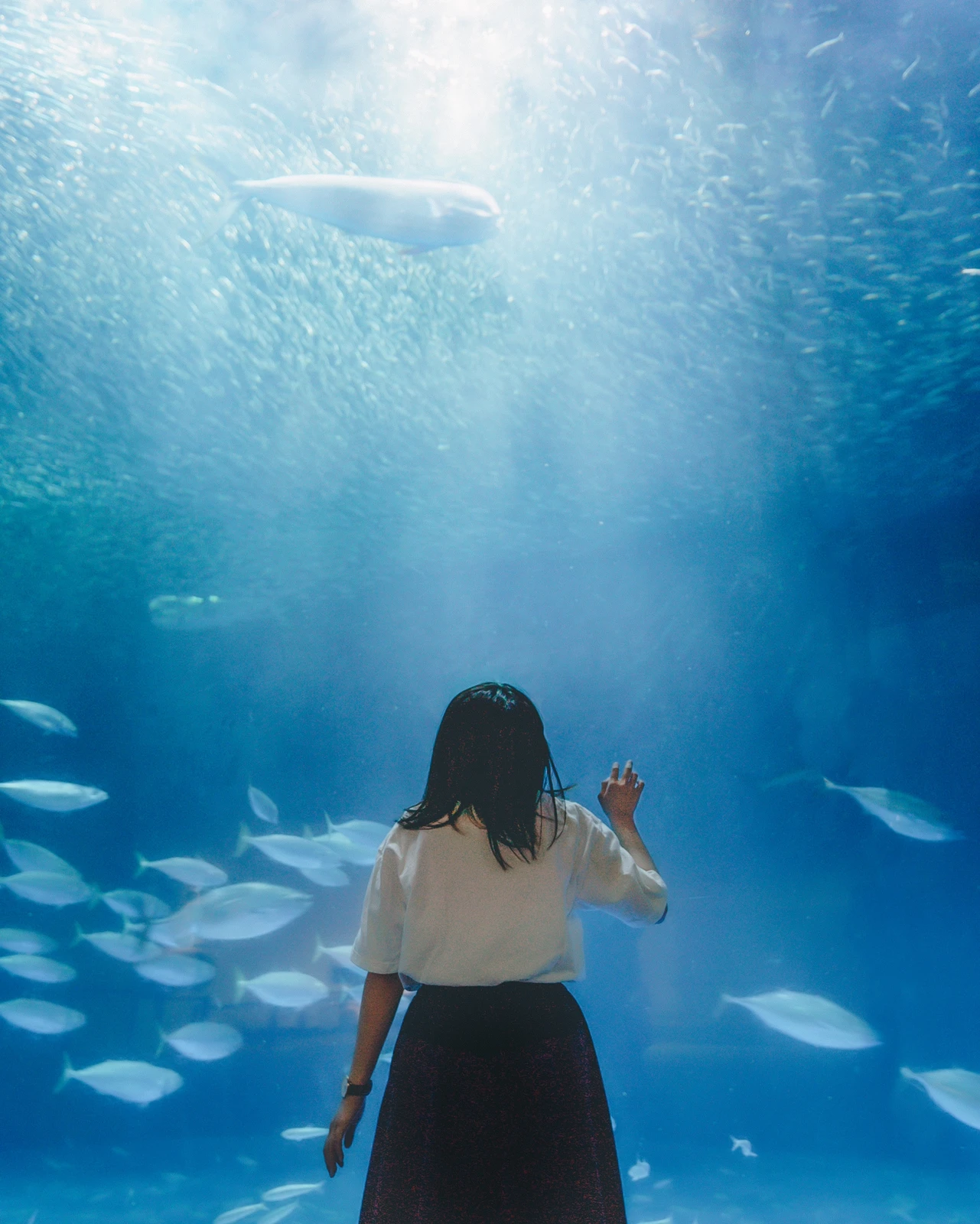 日本最大級の水族館 名古屋港水族館 Kouyou Jpが投稿したフォトブック Lemon8