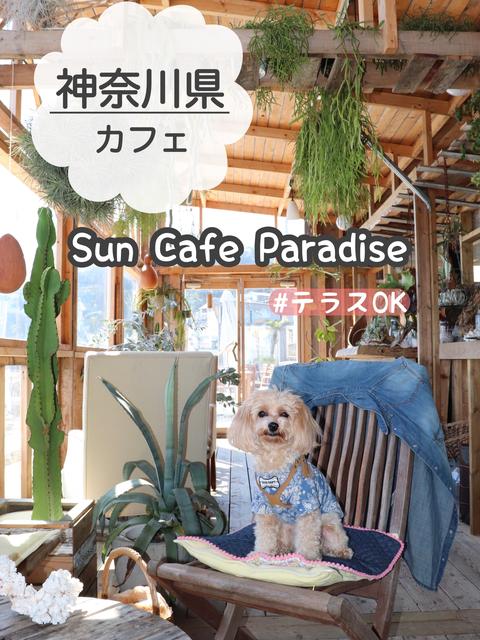 犬とカフェに関する最新投稿と人気の投稿 Lemon8