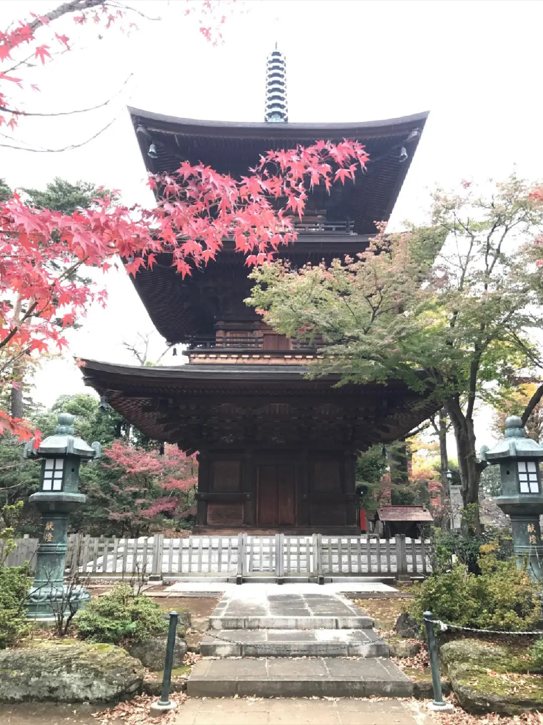 招き猫発祥の地!秋のお天気の日には世田谷区豪徳寺にお散歩に行こう♪の画像