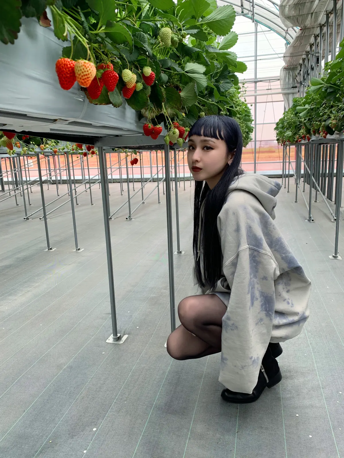 いちご狩り Aoi 301が投稿したフォトブック Lemon8