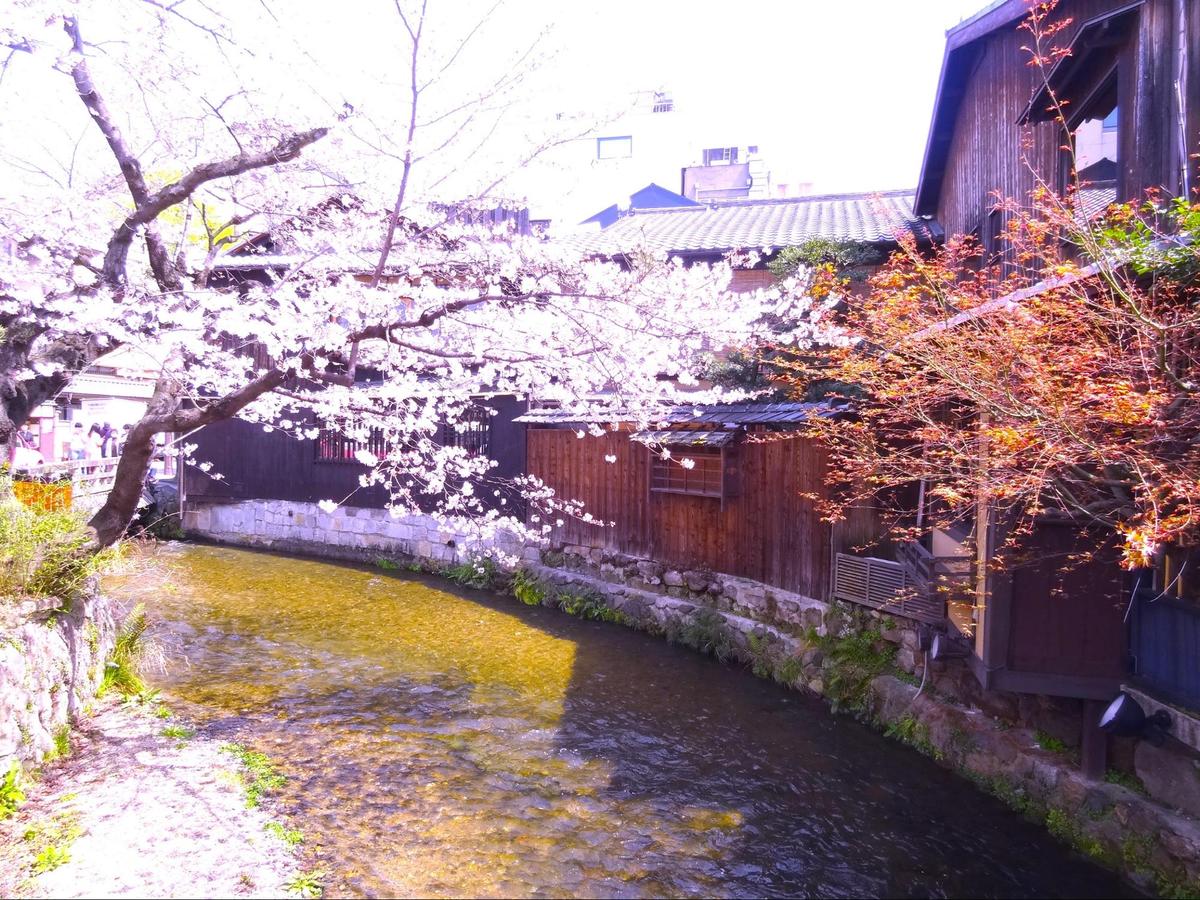 令和初めての春は京都で桜を お得に京都の桜を混雑せずに見る方法もご紹介 トラエモンが投稿した記事 Sharee