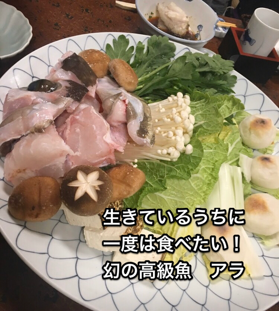 Nameに関する最新投稿と人気の投稿 Lemon8