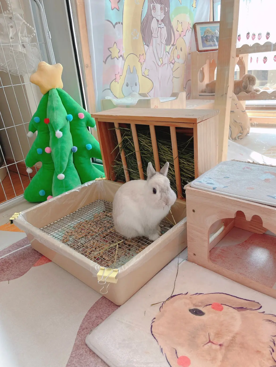 うちの子の専用コーナー うさぎ用品 ウサギ用フィーダー 癒し郵便局が投稿したフォトブック Lemon8