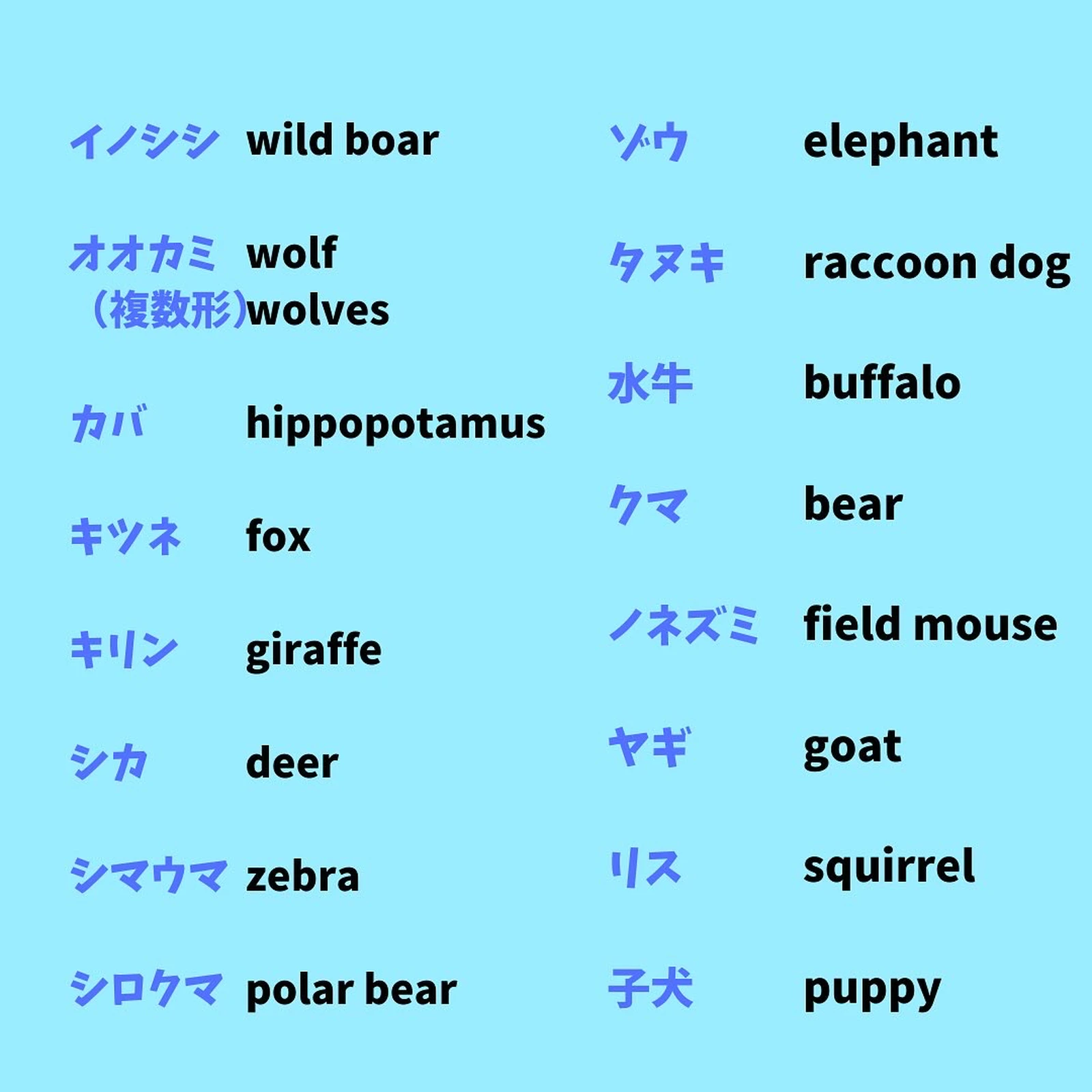 あなたは何個分かるかな 生き物の名前を英語で ヒトミの英語勉強が投稿したフォトブック Lemon8